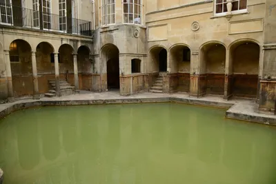 DSC_2672 (Large).JPG